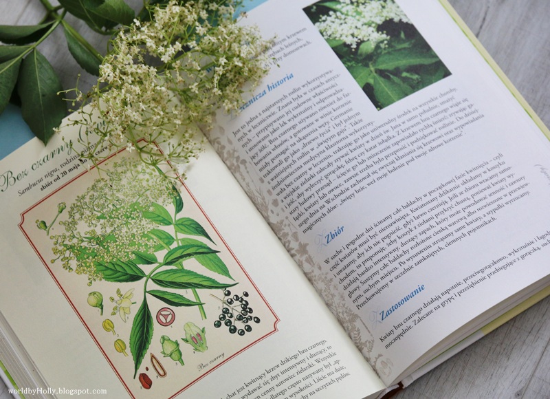 Książka o ziołach. Ilustrowany poradnik dla zielarzy.